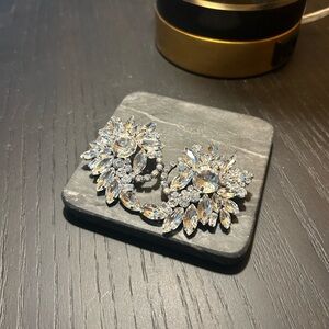 Elegant Silver Crystal Floral Earrings